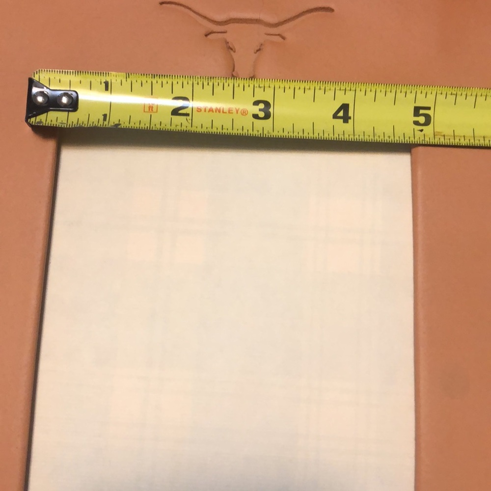 Longhorn Picture Frame with Longhorn Design - Picture 5 of 6